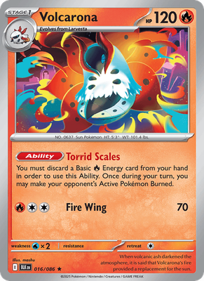 Black Bolt - Holo / Reverse
