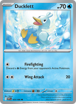 White Flare - Common