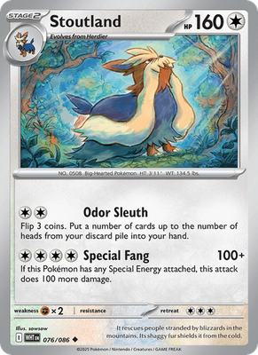 White Flare - Common
